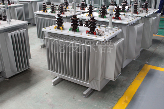 西安S22-100KVA/10KV/0.4KV变压器